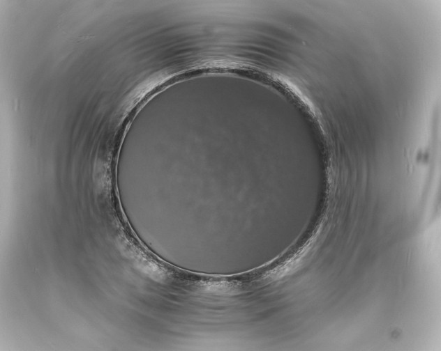 X0000094061025200711021441