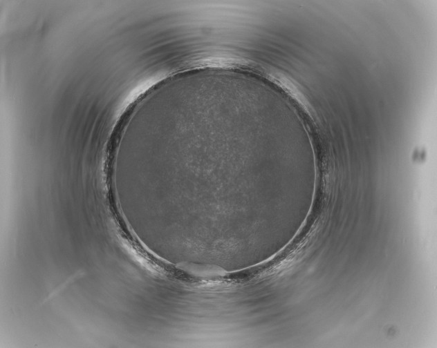 X0000094061026200711021441