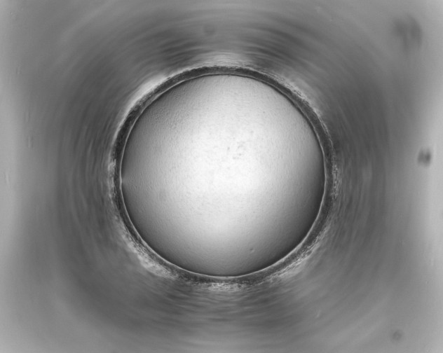 X0000094061029200711021441