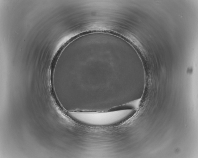 X0000094061030200711021441