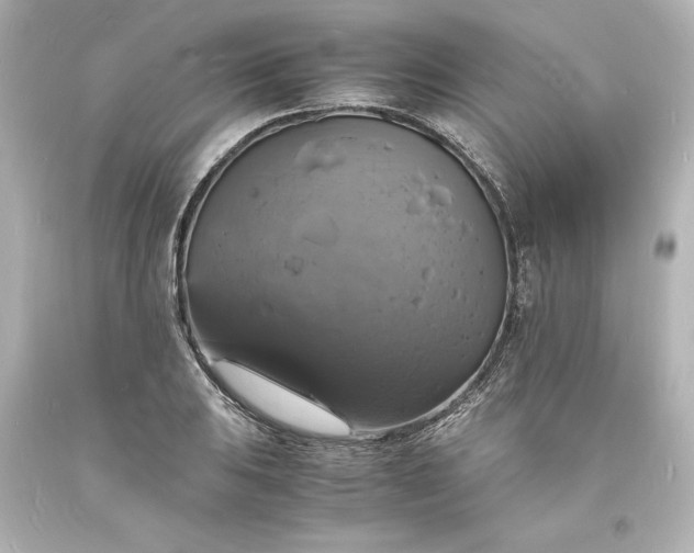 X0000094061031200711021441