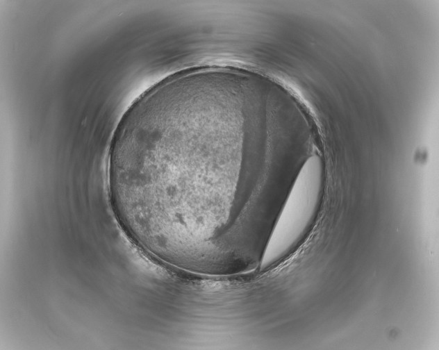 X0000094061032200711021441
