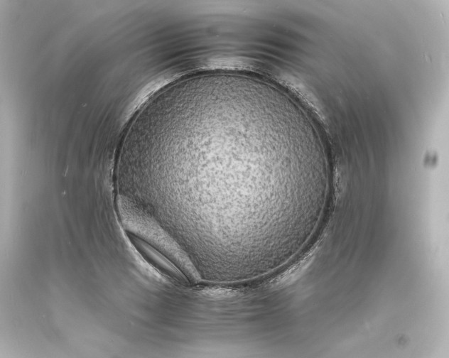 X0000094061033200711021441