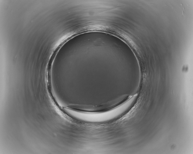 X0000094061034200711021441
