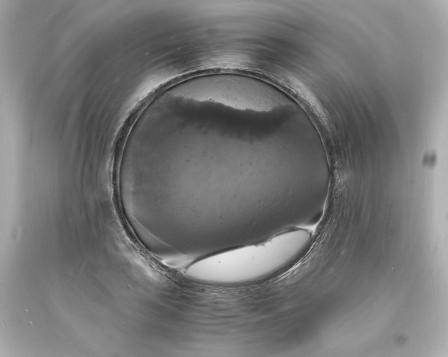 X0000094061035200711021441