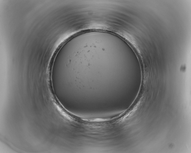 X0000094061037200711021441