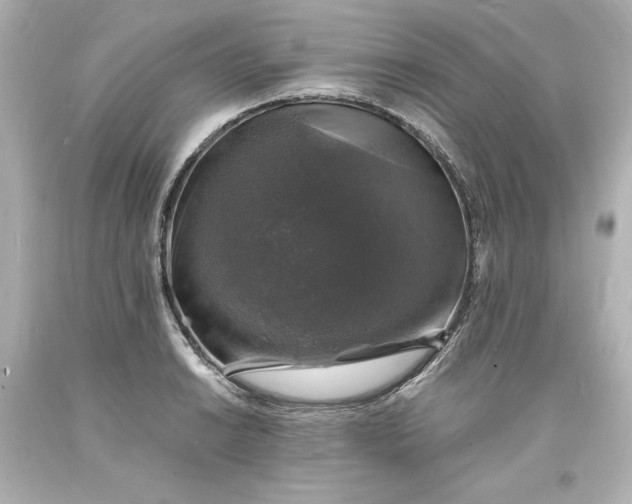 X0000094061038200711021441