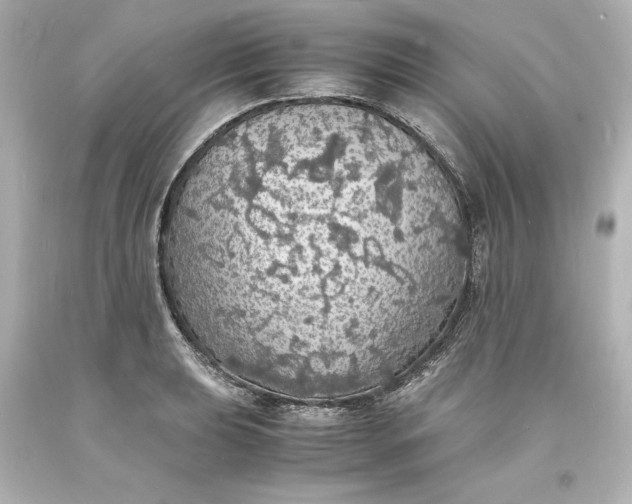 X0000094061039200711021441