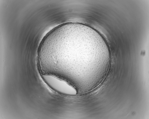 X0000094061040200711021441