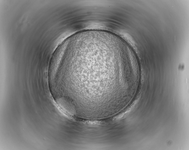 X0000094061041200711021441