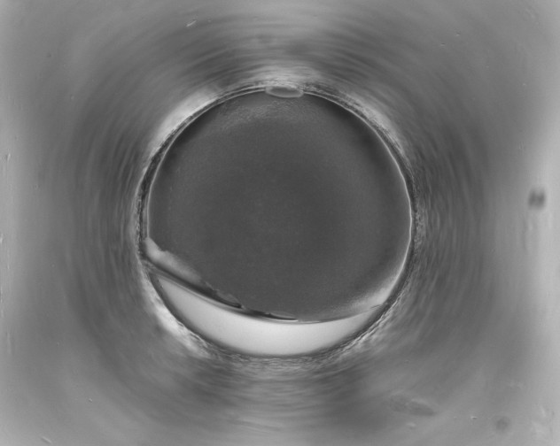 X0000094061042200711021441