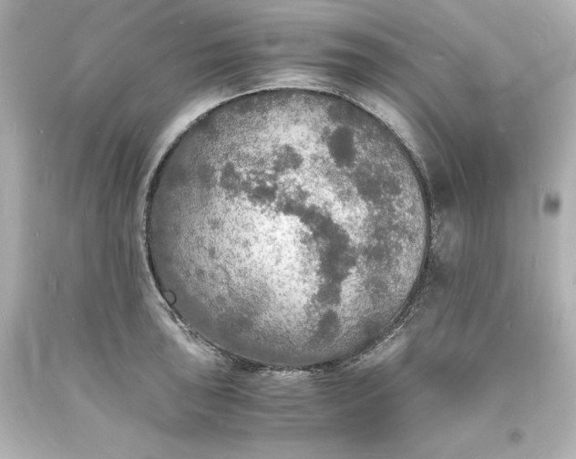 X0000094061043200711021441