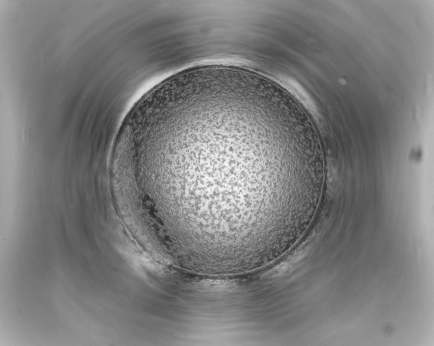 X0000094061044200711021441