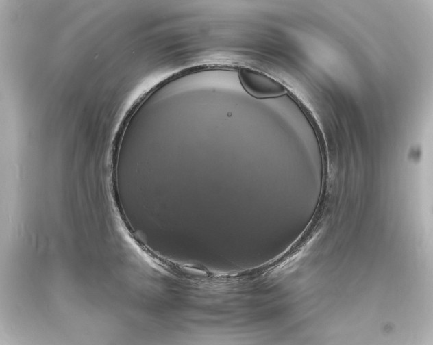 X0000094061045200711021441