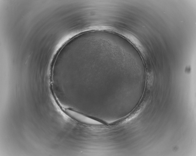 X0000094061046200711021441