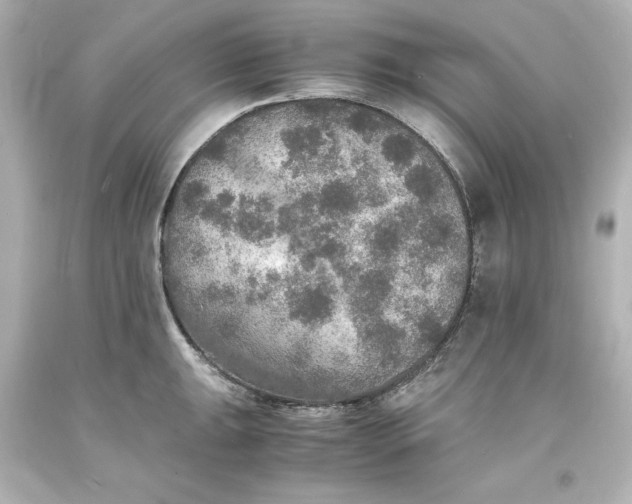 X0000094061047200711021441