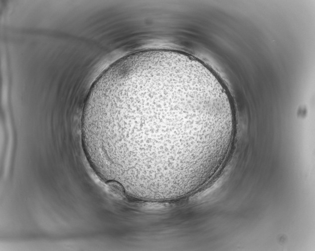 X0000094061049200711021441