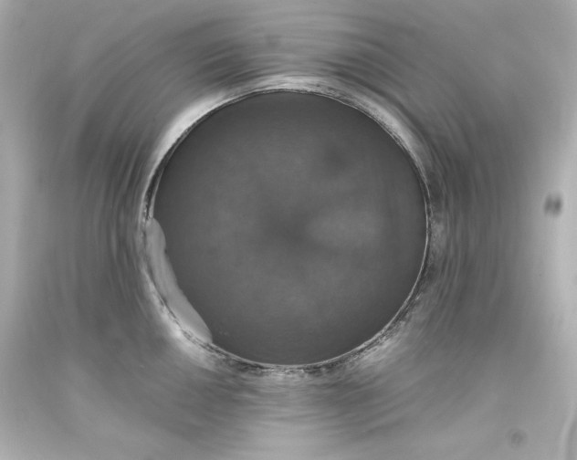 X0000094061050200711021441