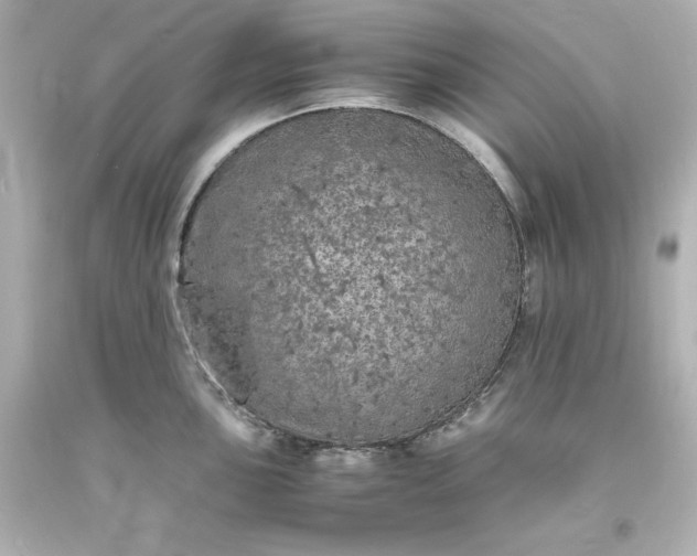X0000094061051200711021441