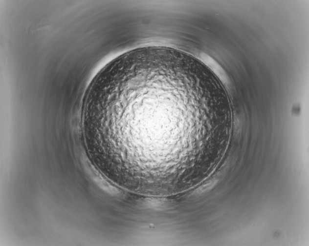 X0000094061052200711021441