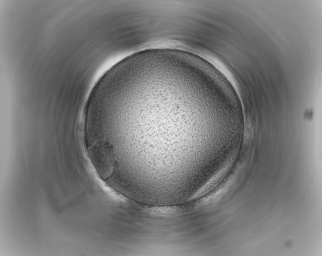 X0000094061053200711021441