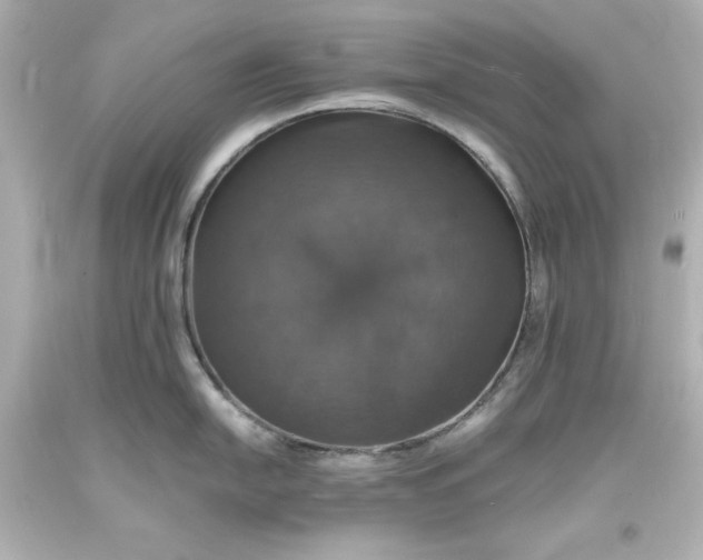 X0000094061054200711021441
