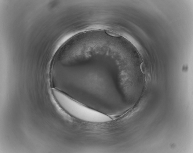 X0000094061055200711021441