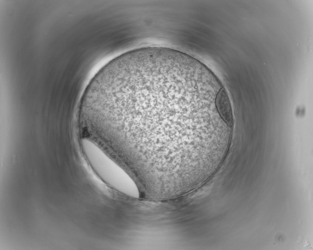 X0000094061056200711021441