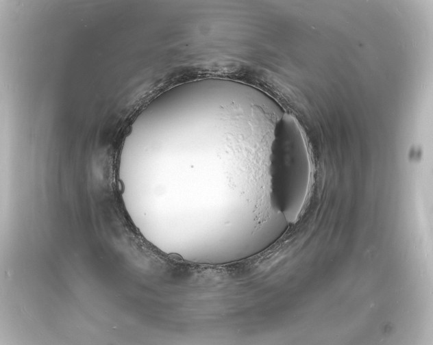 X0000094061058200711021440