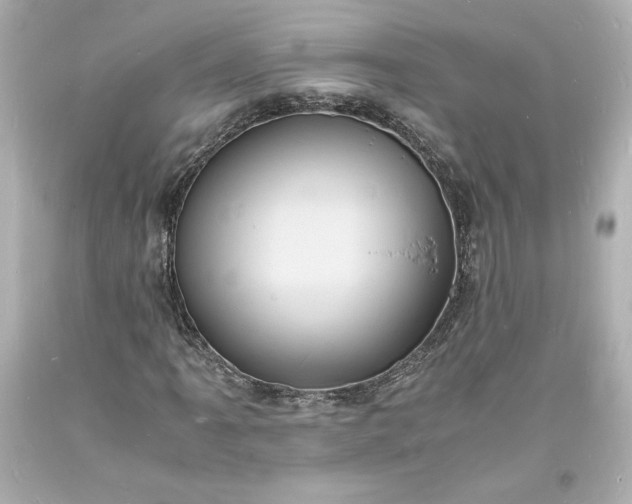 X0000094061061200711021440