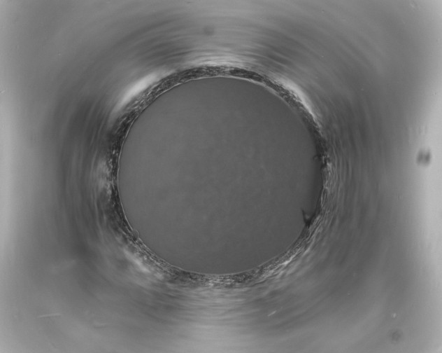 X0000094061064200711021440