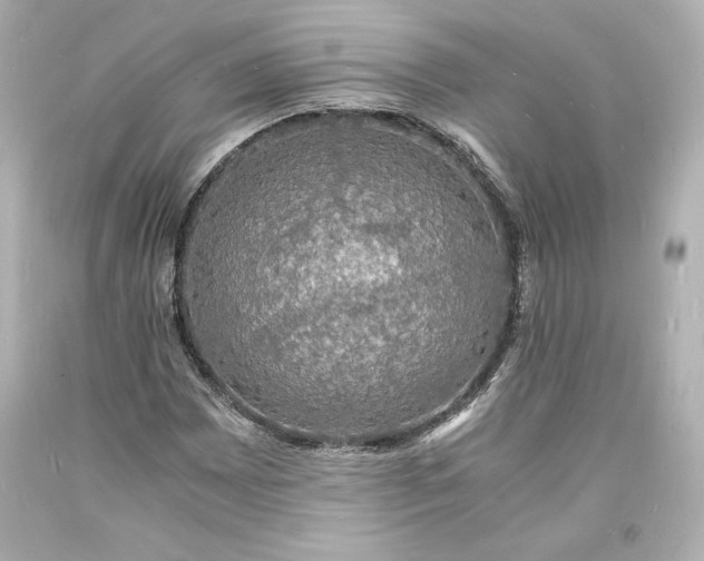 X0000094061065200711021440