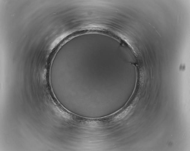 X0000094061066200711021440