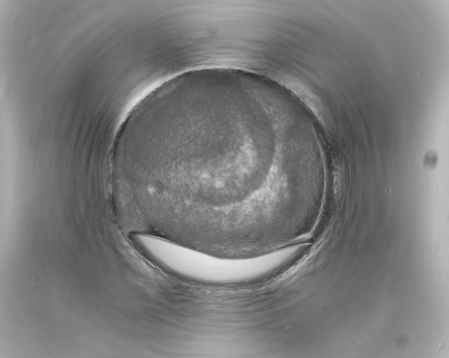 X0000094061069200711021440