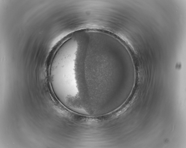 X0000094061070200711021440