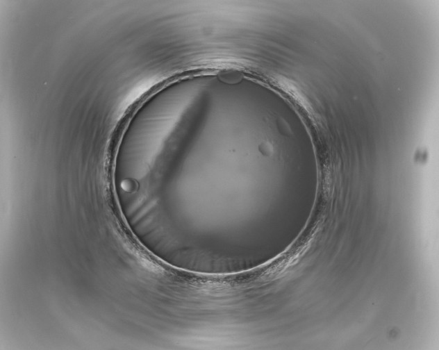 X0000094061071200711021440