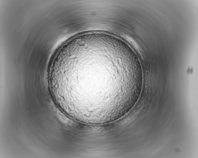X0000094061072200711021440