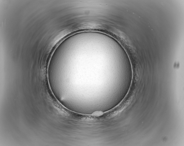 X0000094061073200711021440