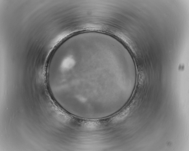 X0000094061074200711021440