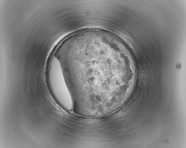 X0000094061076200711021440