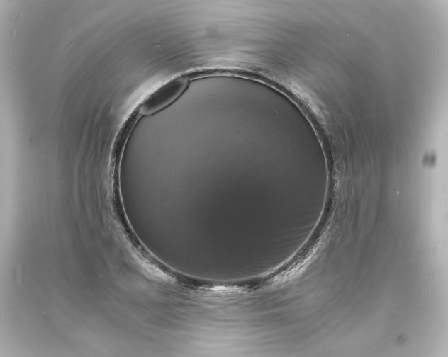 X0000094061077200711021440