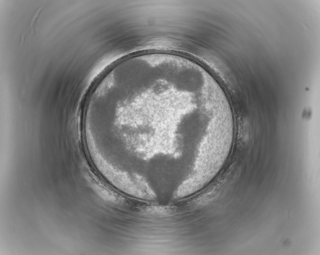X0000094061078200711021440