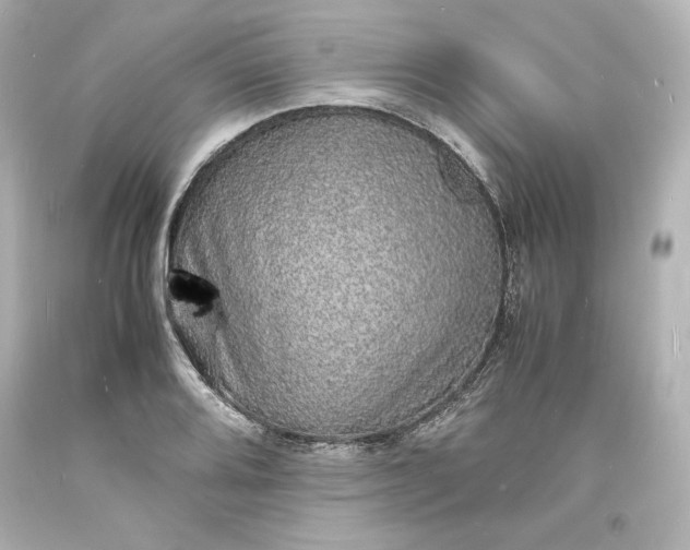 X0000094061080200711021440