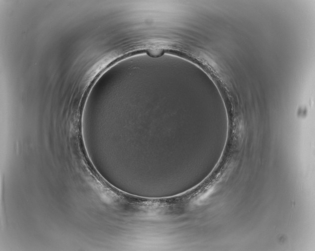 X0000094061081200711021440