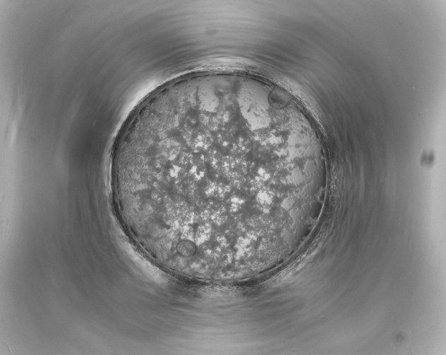 X0000094061083200711021440