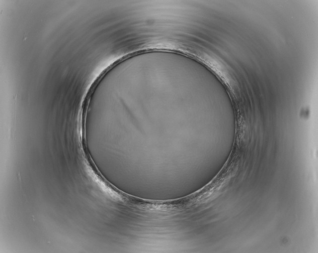 X0000094061084200711021440