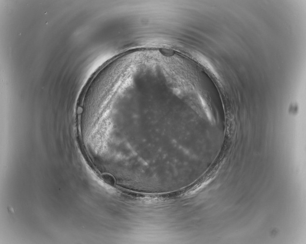 X0000094061087200711021440