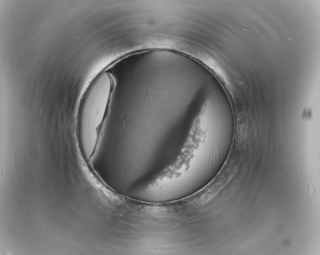 X0000094061088200711021440