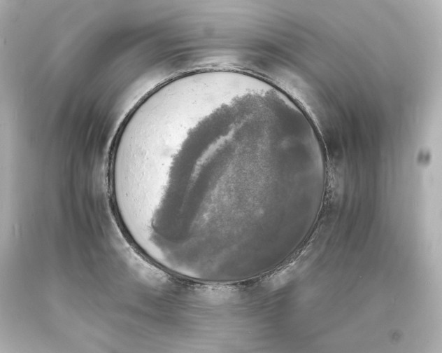 X0000094061090200711021440