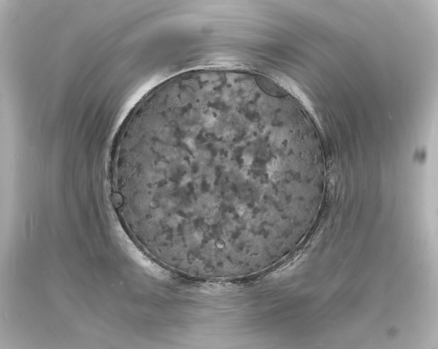 X0000094061091200711021440